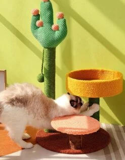 Ola's Cactus With Bed, Cat Toy, Climbing Tree(Olas Cactus With Bed Cat Toy Climbing Tree) -Weilai Concept 1 4 6a4d5f45 71ae 4caf bd68 4a18b3bb2df8
