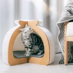 Accordion Pet House(Accordion Pet House)