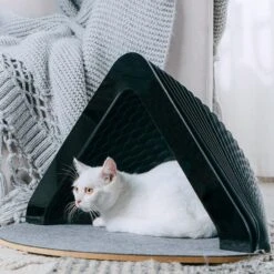 Accordion Pet House(Accordion Pet House) -Weilai Concept accordion pet house weilai concept weilai concept 3