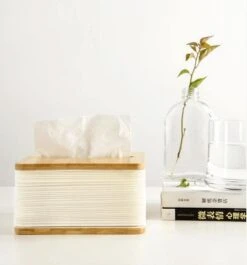 Accordion Tissue Box(Accordion Tissue Box) -Weilai Concept accordion tissue box weilai concept weilai concept 3