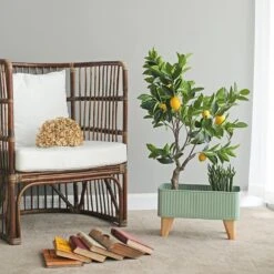 IN11 Decoration(In11 Decoration)