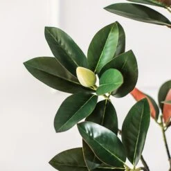 TU801 Artificial Plant(Tu801 Artificial Plant) -Weilai Concept tu801 artificial plant weilai concept weilai concept 4